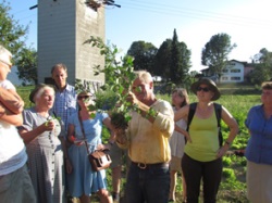 bild6