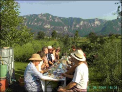 bild1